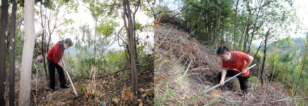 C:\Users\luoyufang\Desktop\20210315義務植樹\廈門宏業(yè)義務植樹照片\3.jpg C:\Users\luoyufang\Desktop\20210315義務植樹\廈門宏業(yè)義務植樹照片\3.jpg